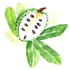 Soursop Fruit