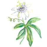 Passion Flower 1oz. Extract "Mauifarmacy Grown"