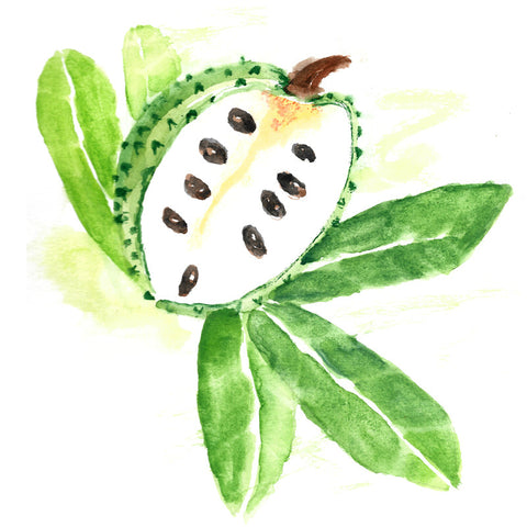 Soursop Leaf Tea - Hawaiian Chai *USA Maui Organically Grown* "4 Max Order... Please"